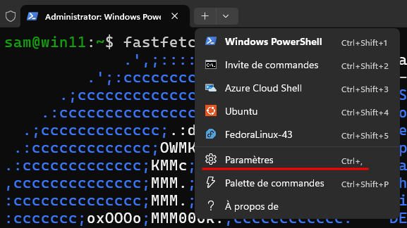 wsl-settings.png