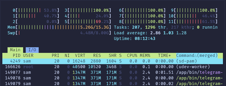 htop-example.png